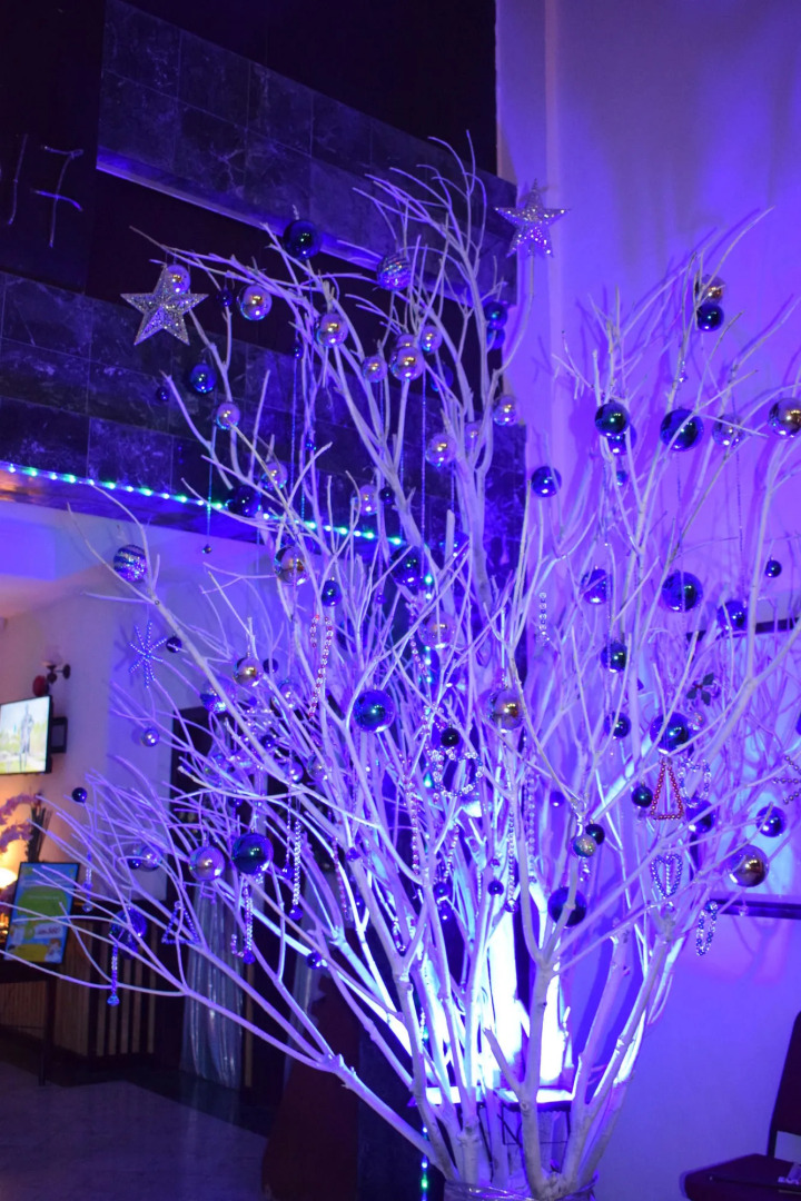 Leisure Cove Hotel & Apartments