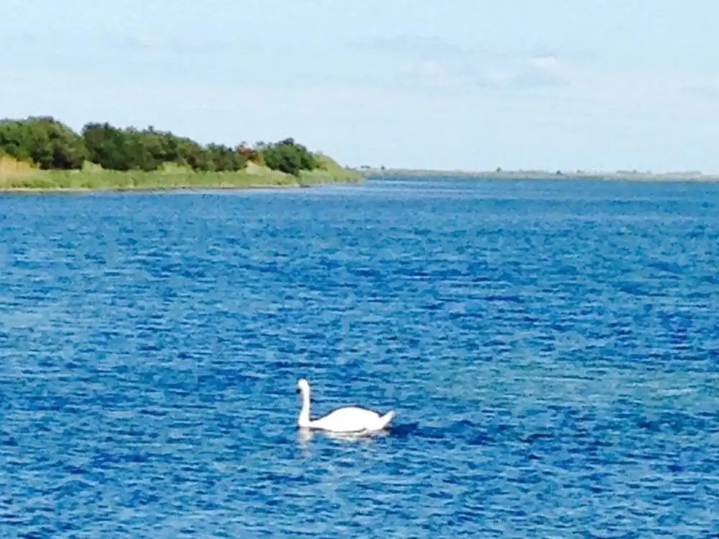 Askø Bed & Breakfast