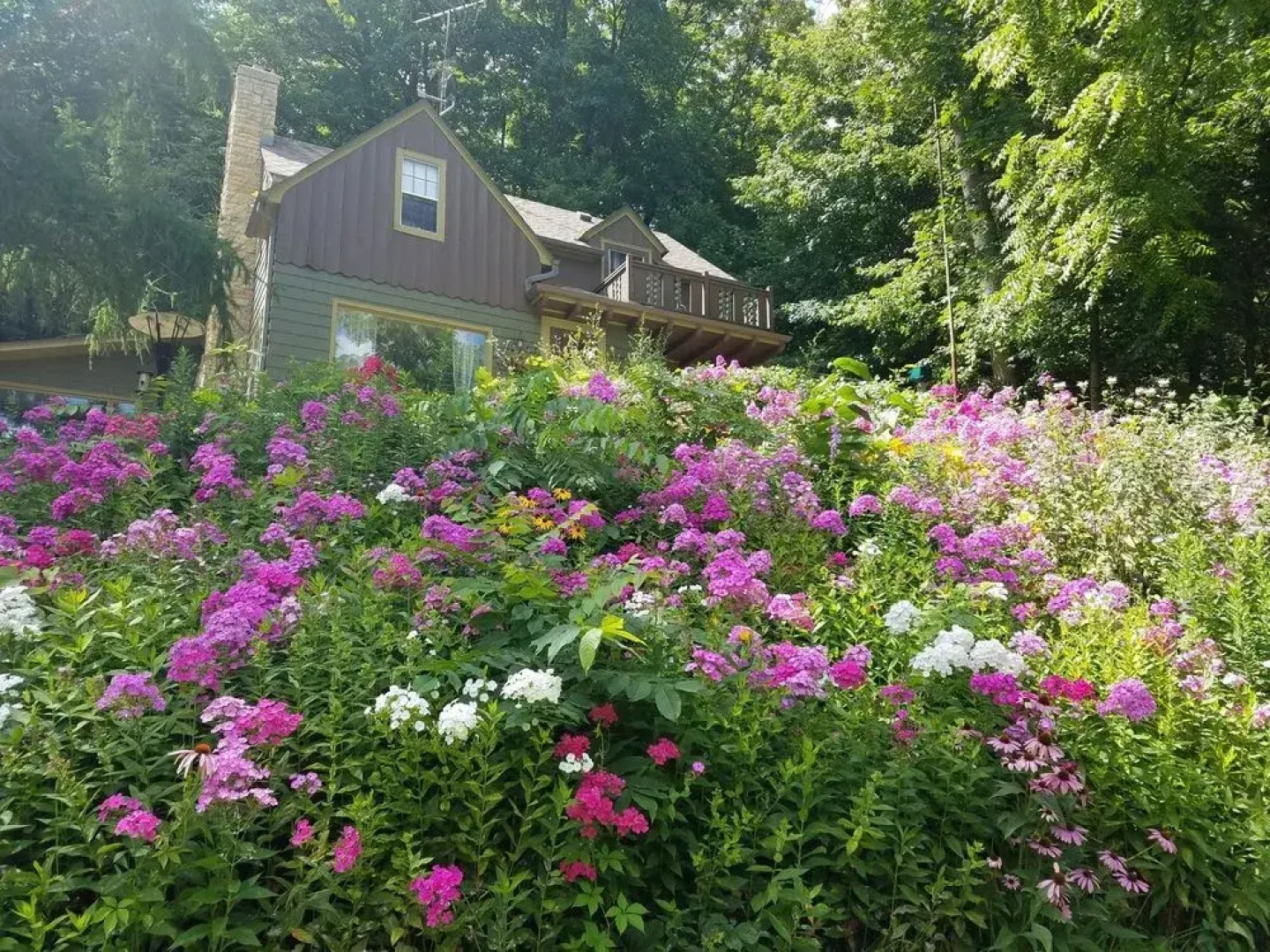 Contented Cottage Bed and Breakfast