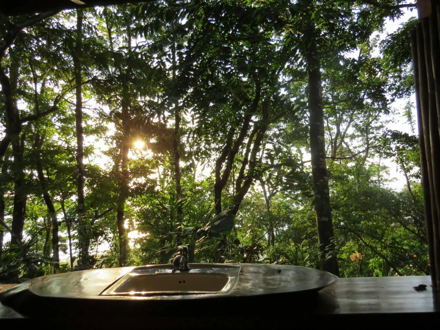 Tiskita Jungle Lodge