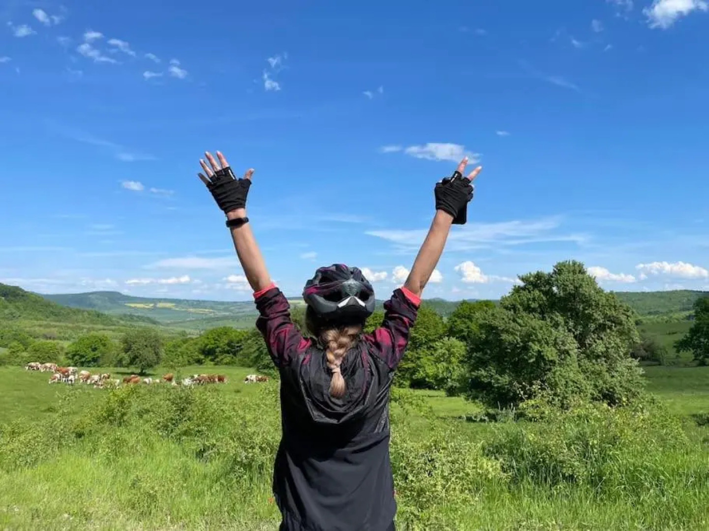 Entire House @Saschiz 130