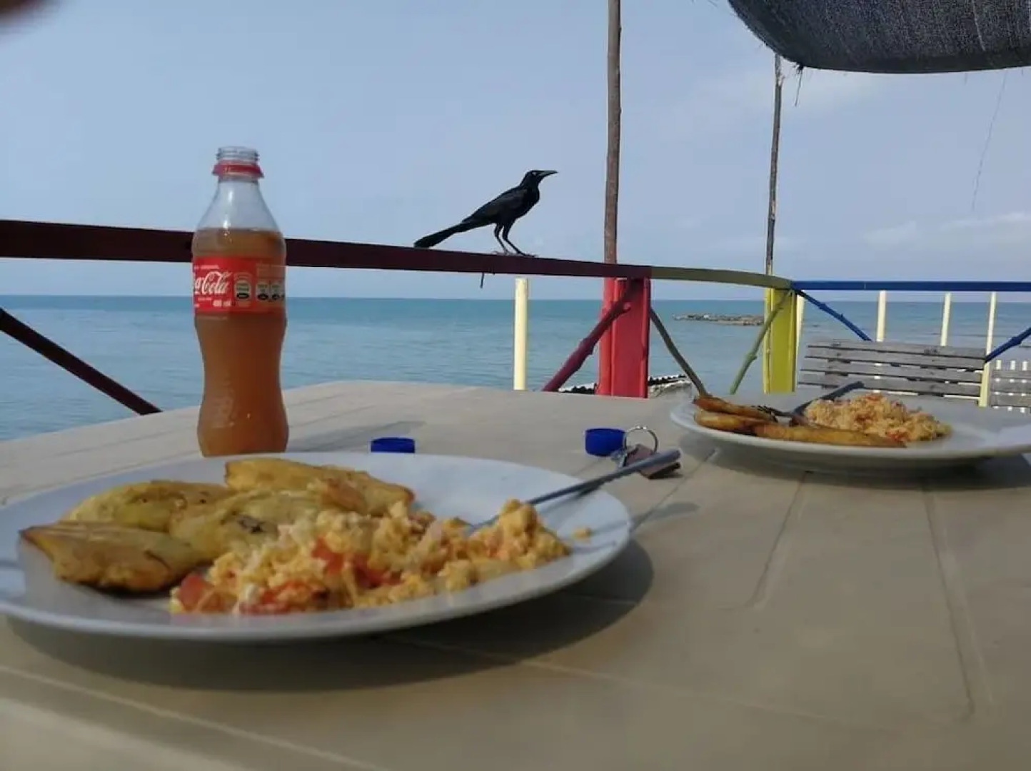 Puerto Caracol Isla Múcura