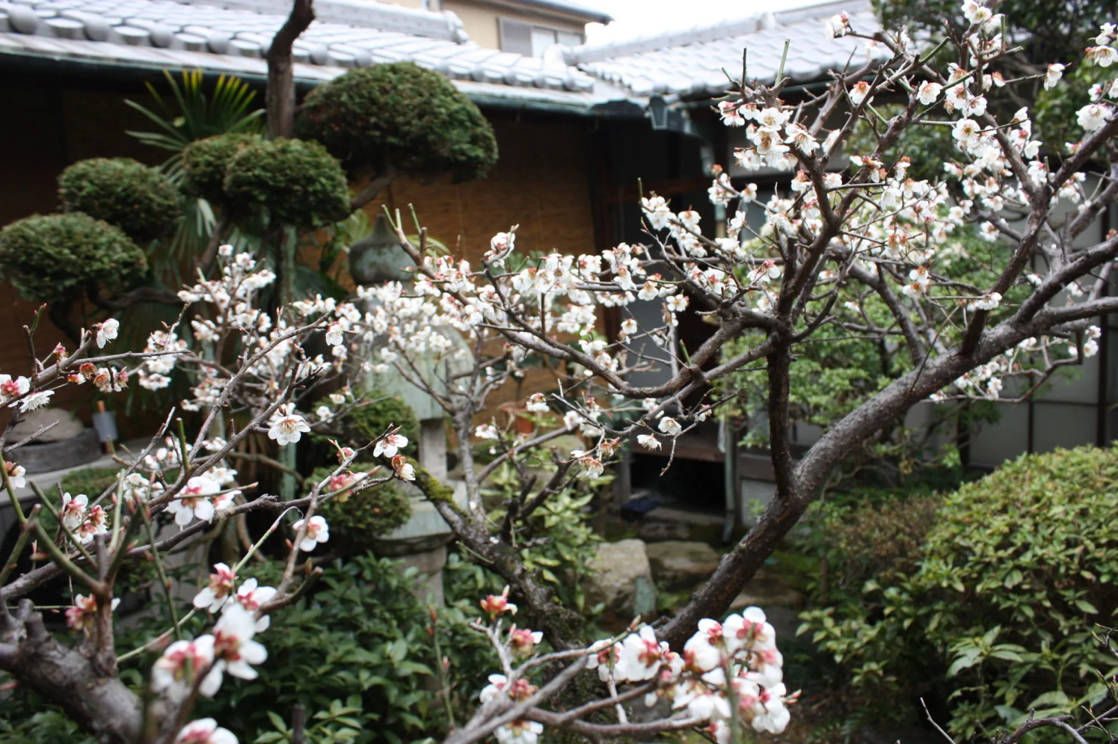 Guesthouse Naramachi