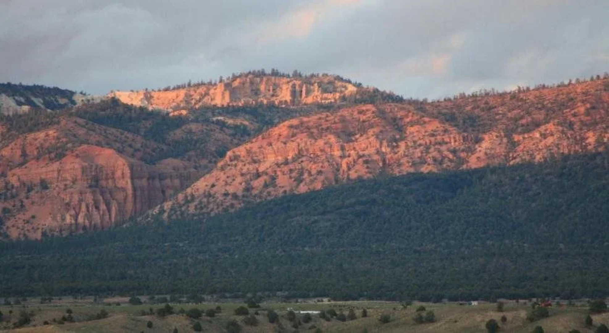 Bear In The Bed and Breakfast
