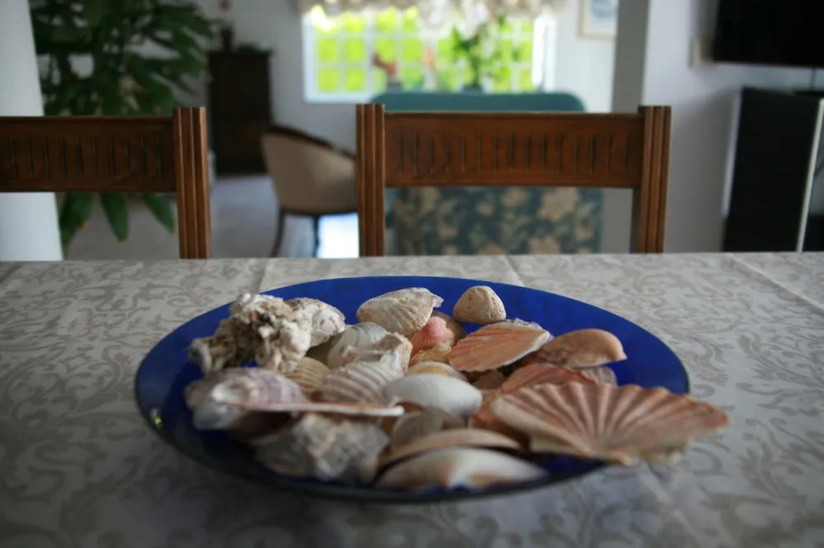 Flow House - Guesthouse & Surf / Kite Surf School