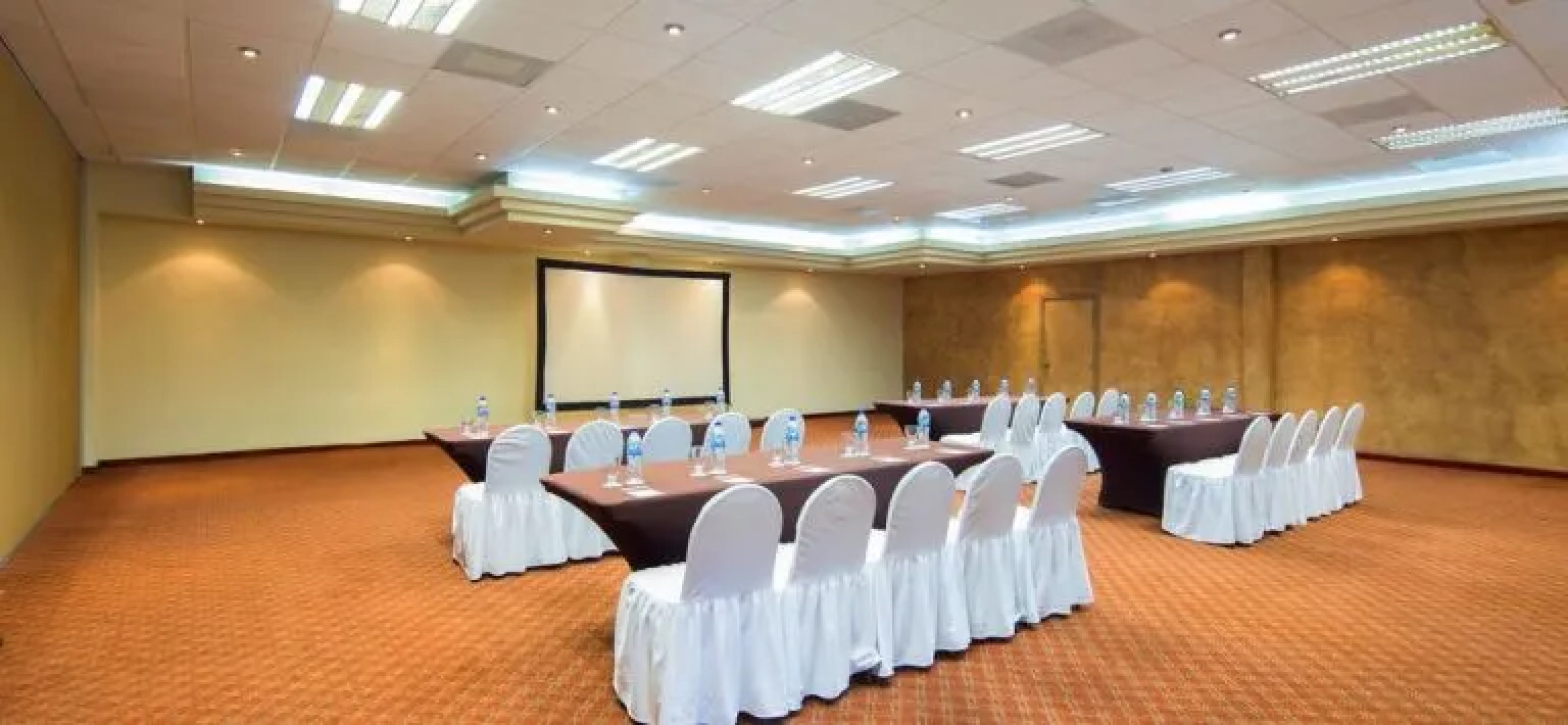 Villa del Palmar Residences