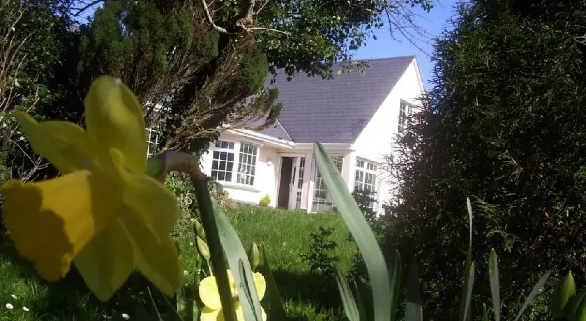 Meadowfield Bed And Breakfast