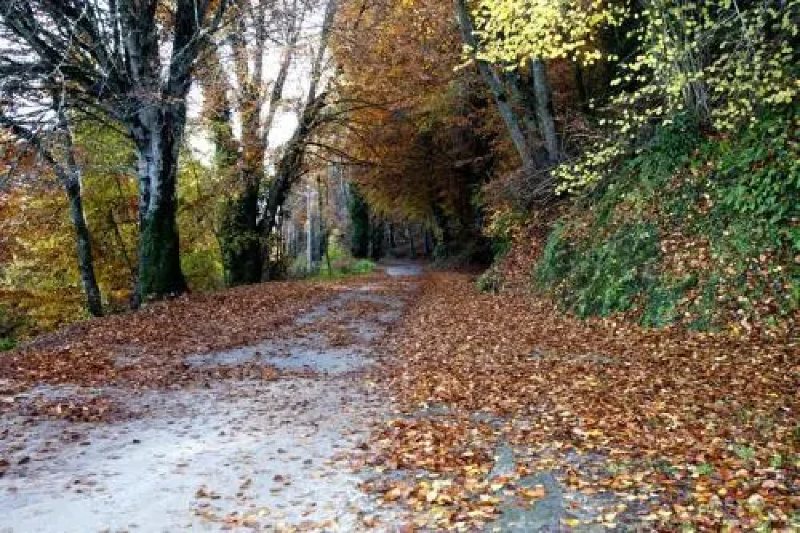 Santuari de la Salut de Sant Feliu de Pallerols