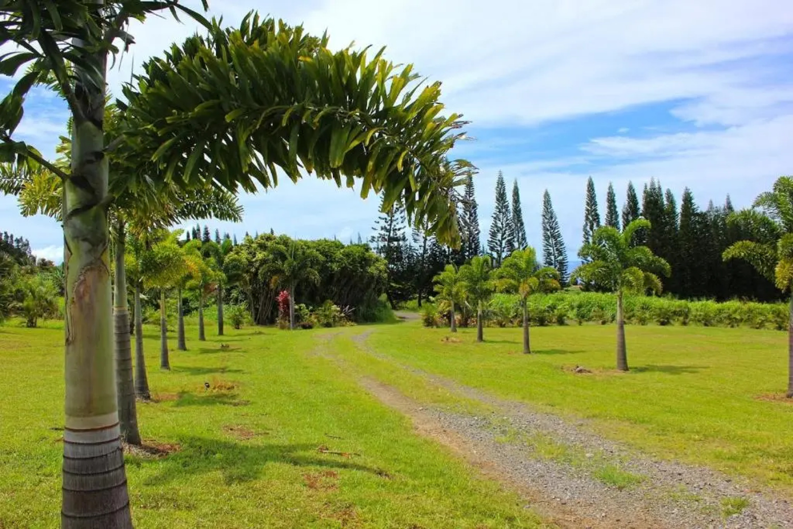 Mahana House Country Inn