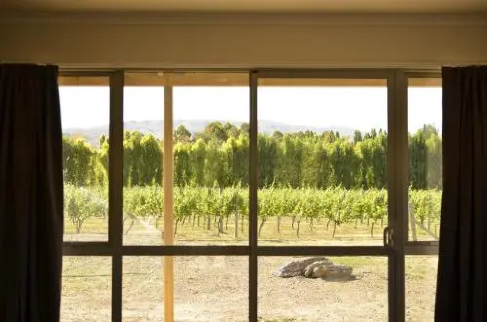 Weaver Estate Wines & Weaver Estate Vineyard Cottages