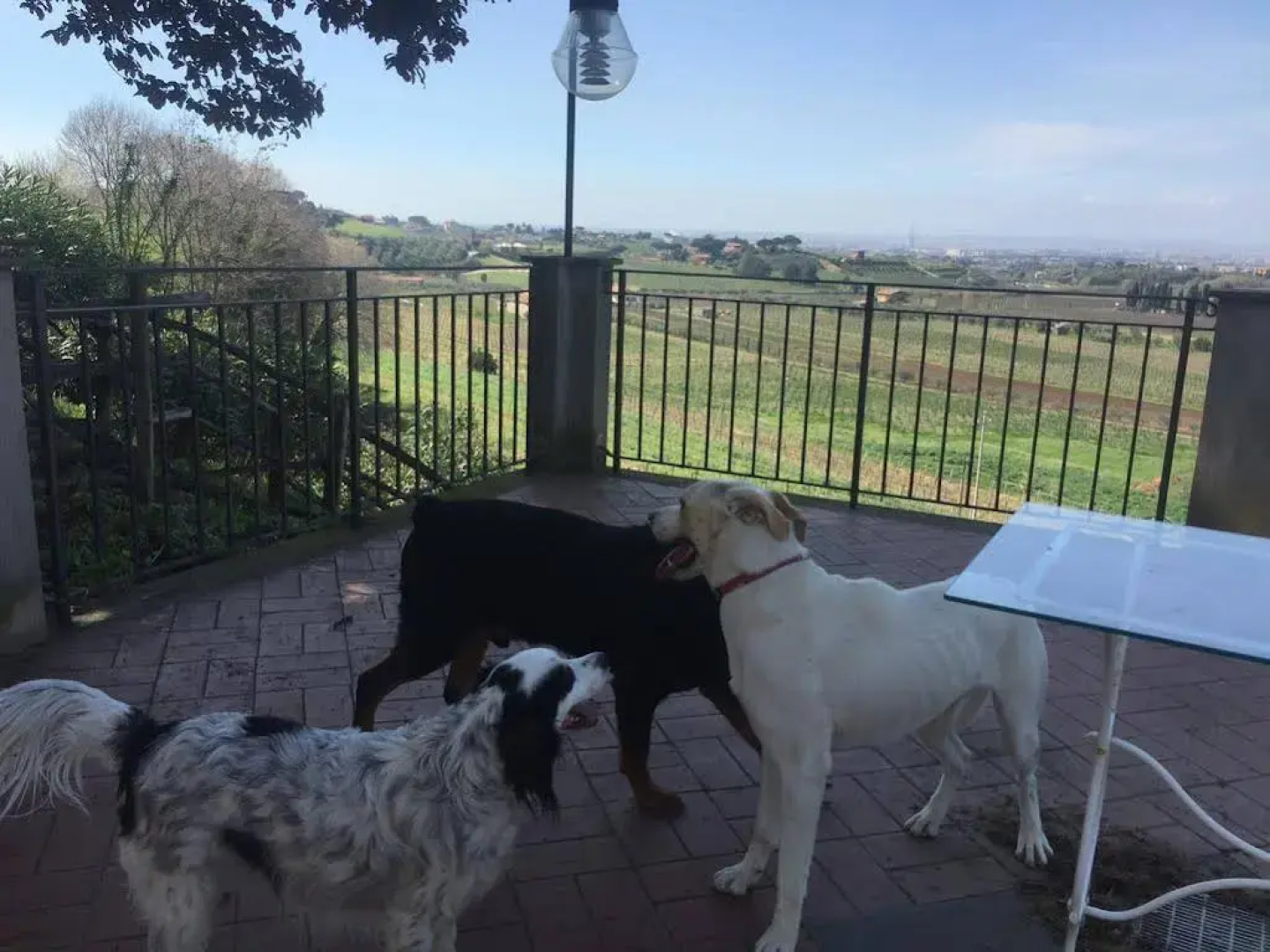 Merumalia Wine Resort