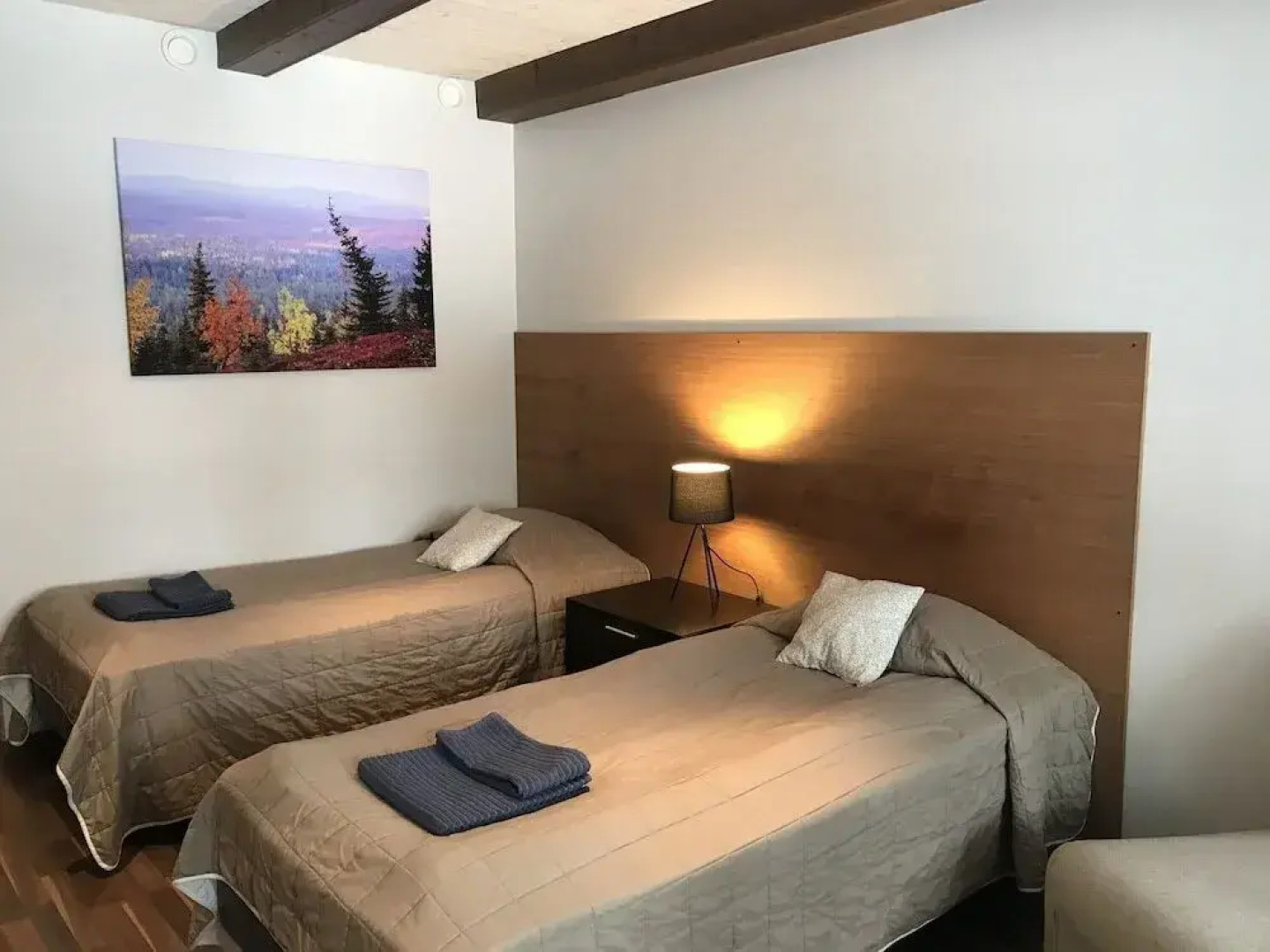 Ruka Safaris - Papin Talo