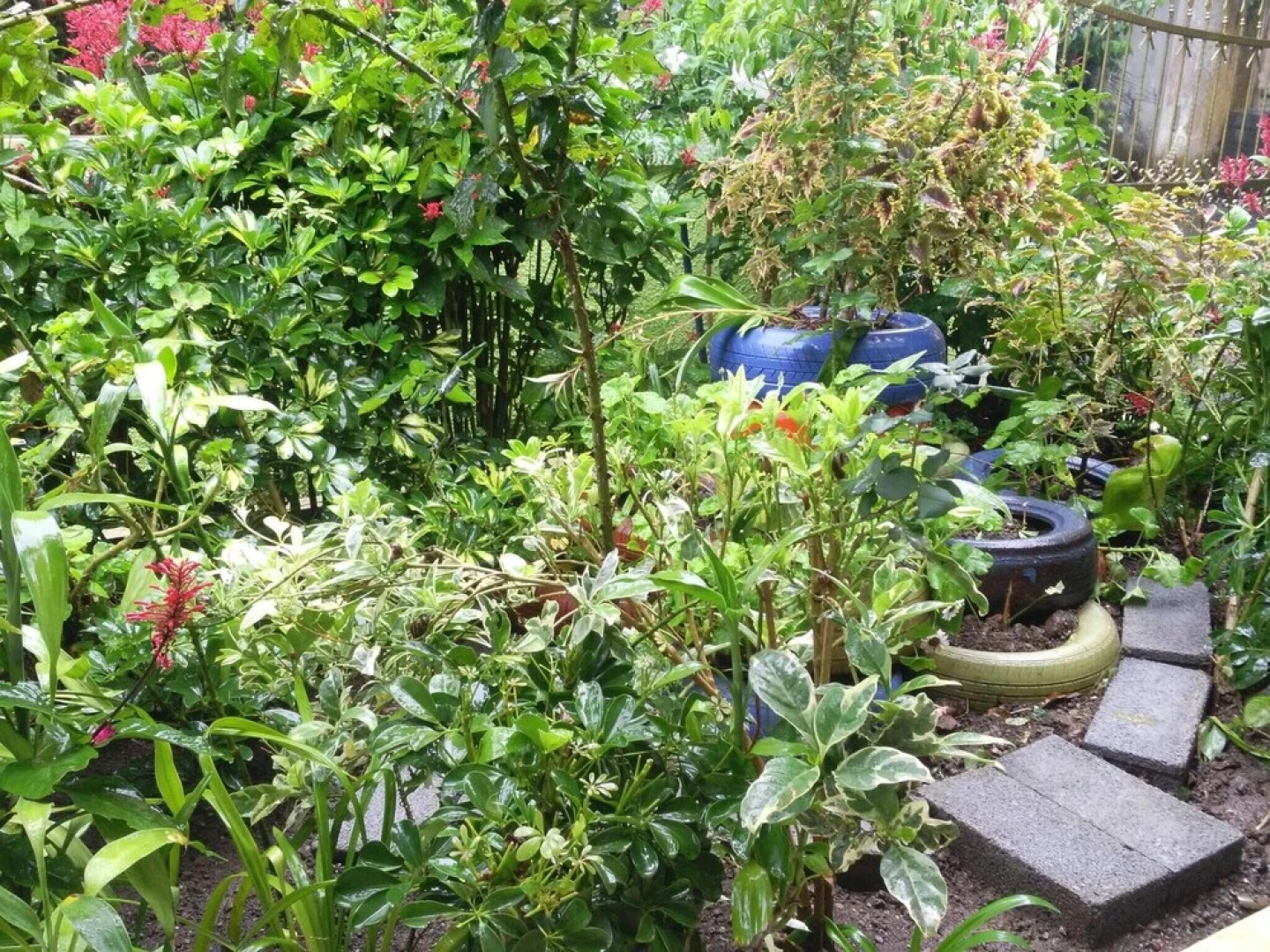 House With 5 Bedrooms in Vacoas, With Wonderful Mountain View, Enclose