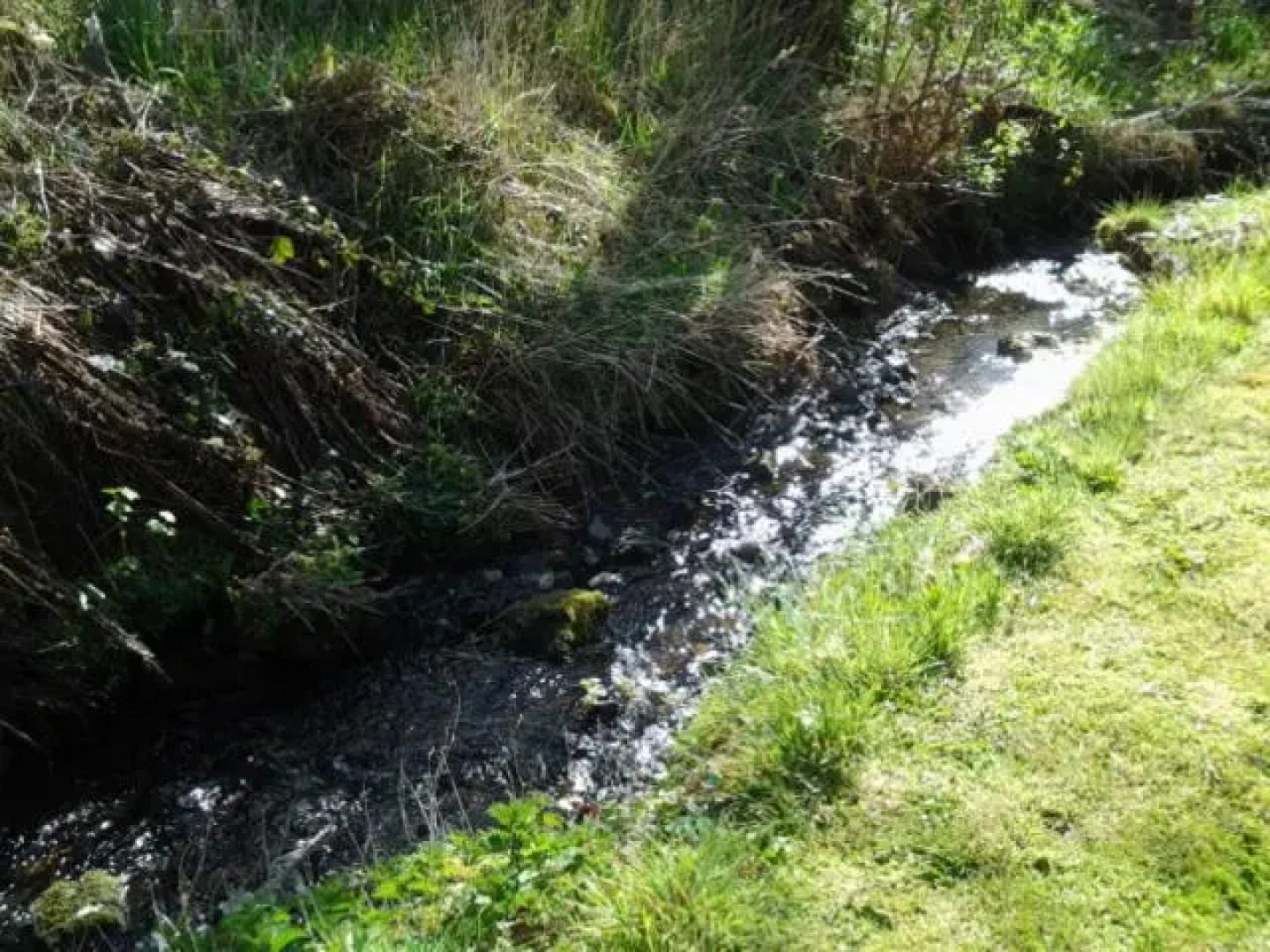 Brentor Self-catering