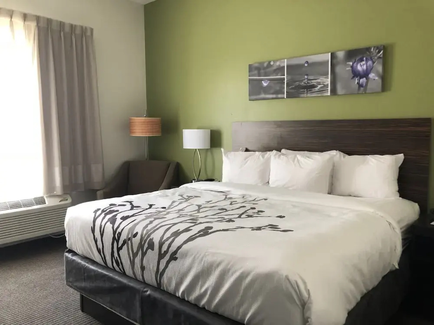 Comfort Inn St. Louis Airport