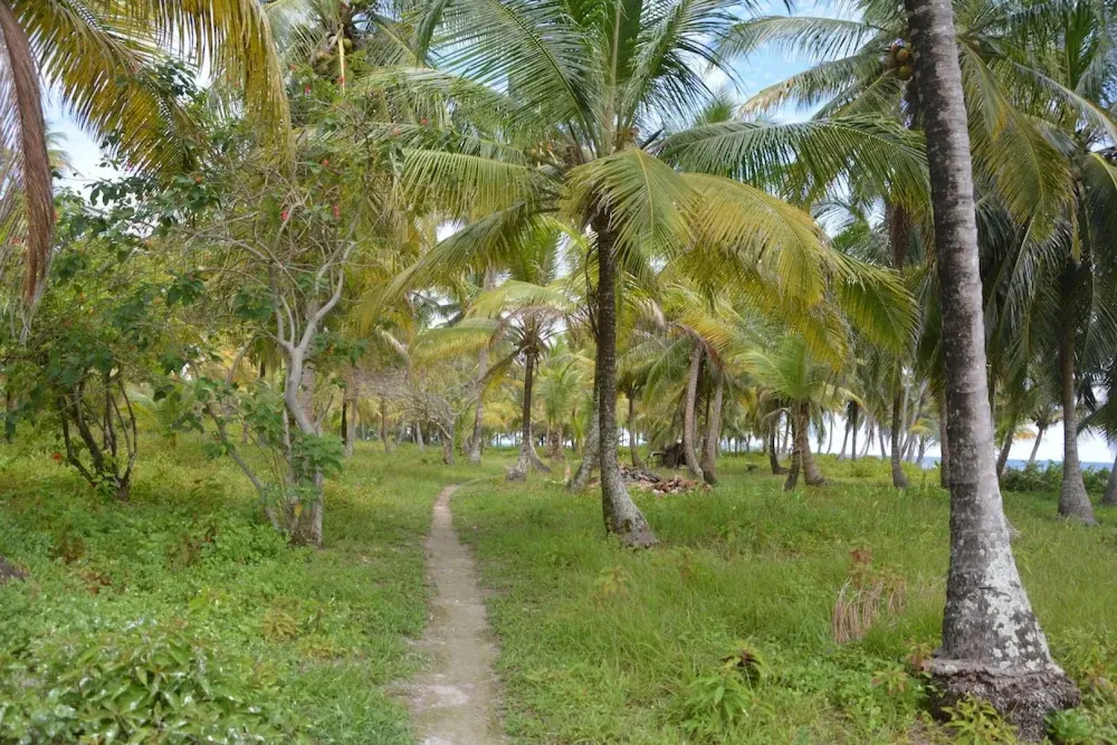 Enjoy San Blas Diablo Island