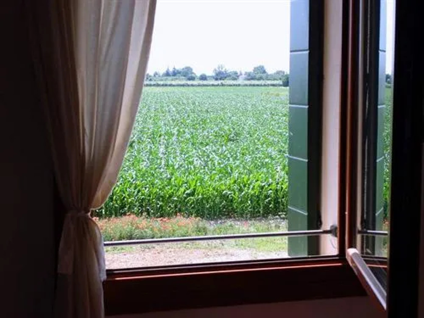 Agriturismo Le Procurative – Apartments