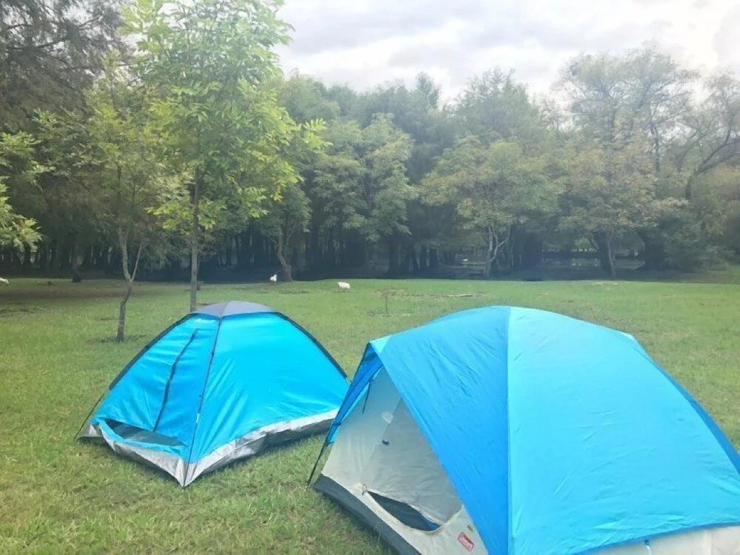 Anaya & Rodriguez Shop - Hostel