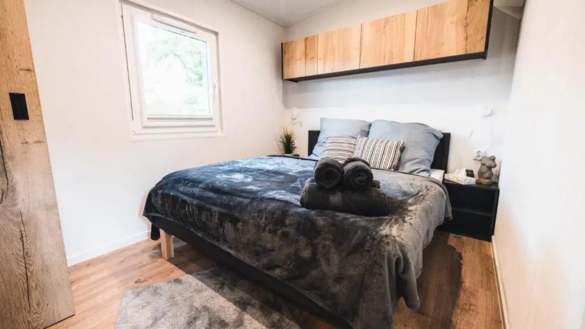 Auszeit am Alfsee, im Lichterwald