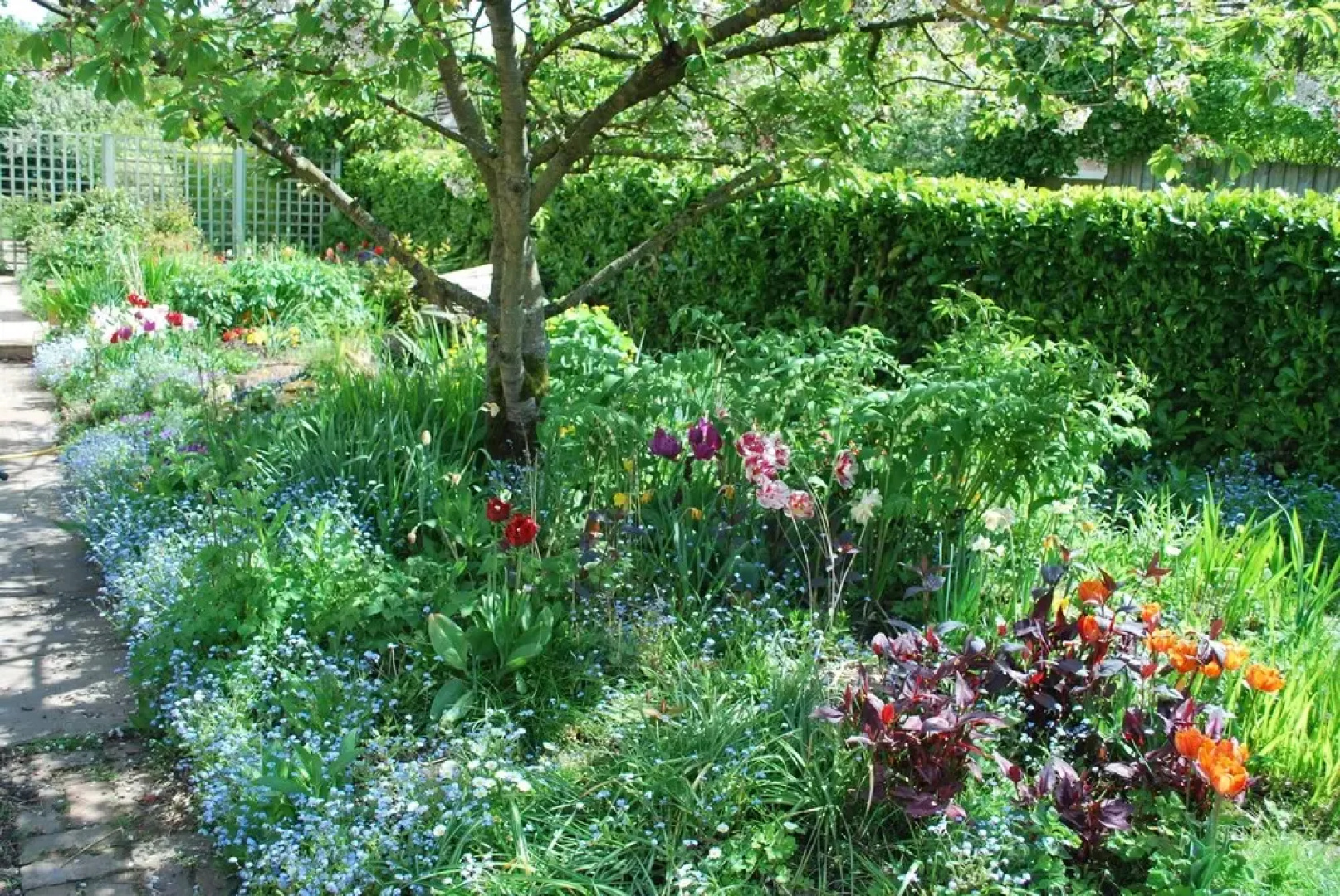 Hillcroft Luxury Bed & Breakfast