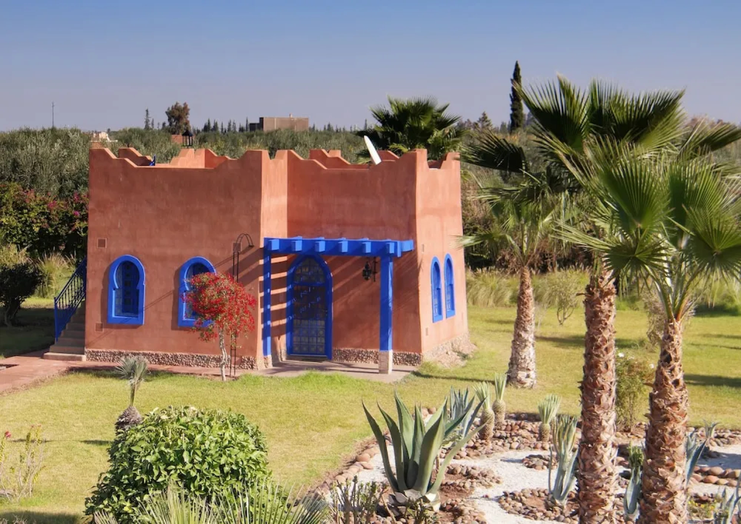 Riad Beloiseau