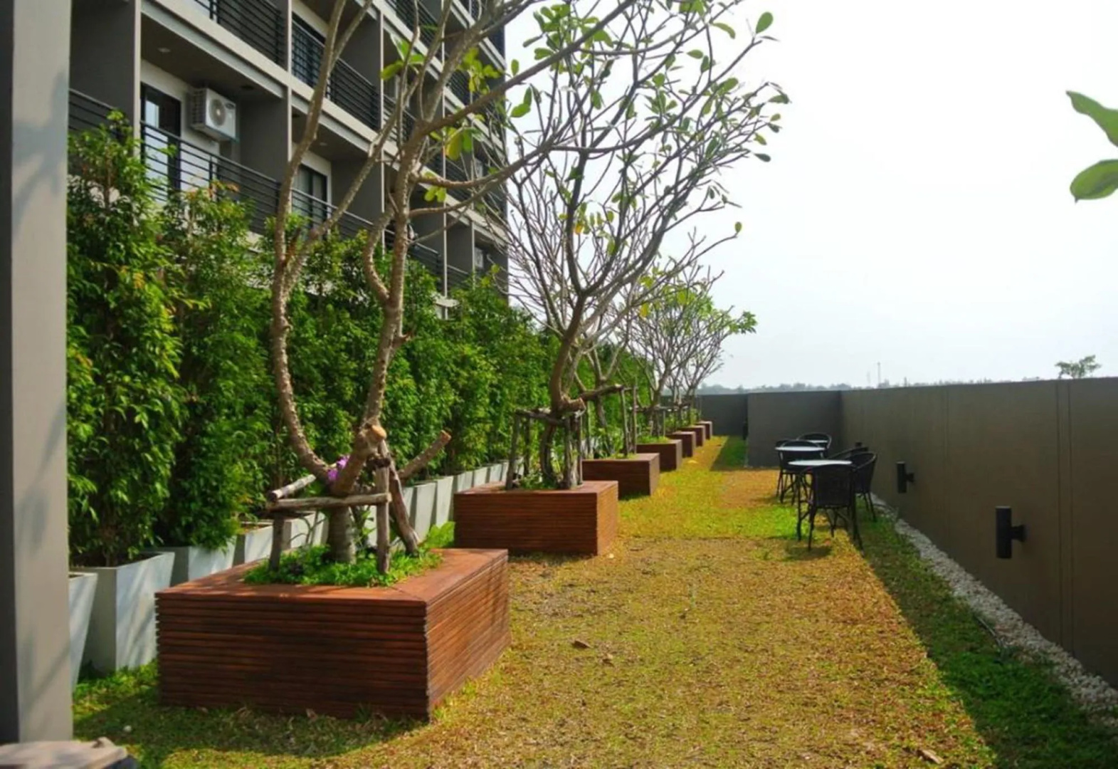 Himawari at Condo