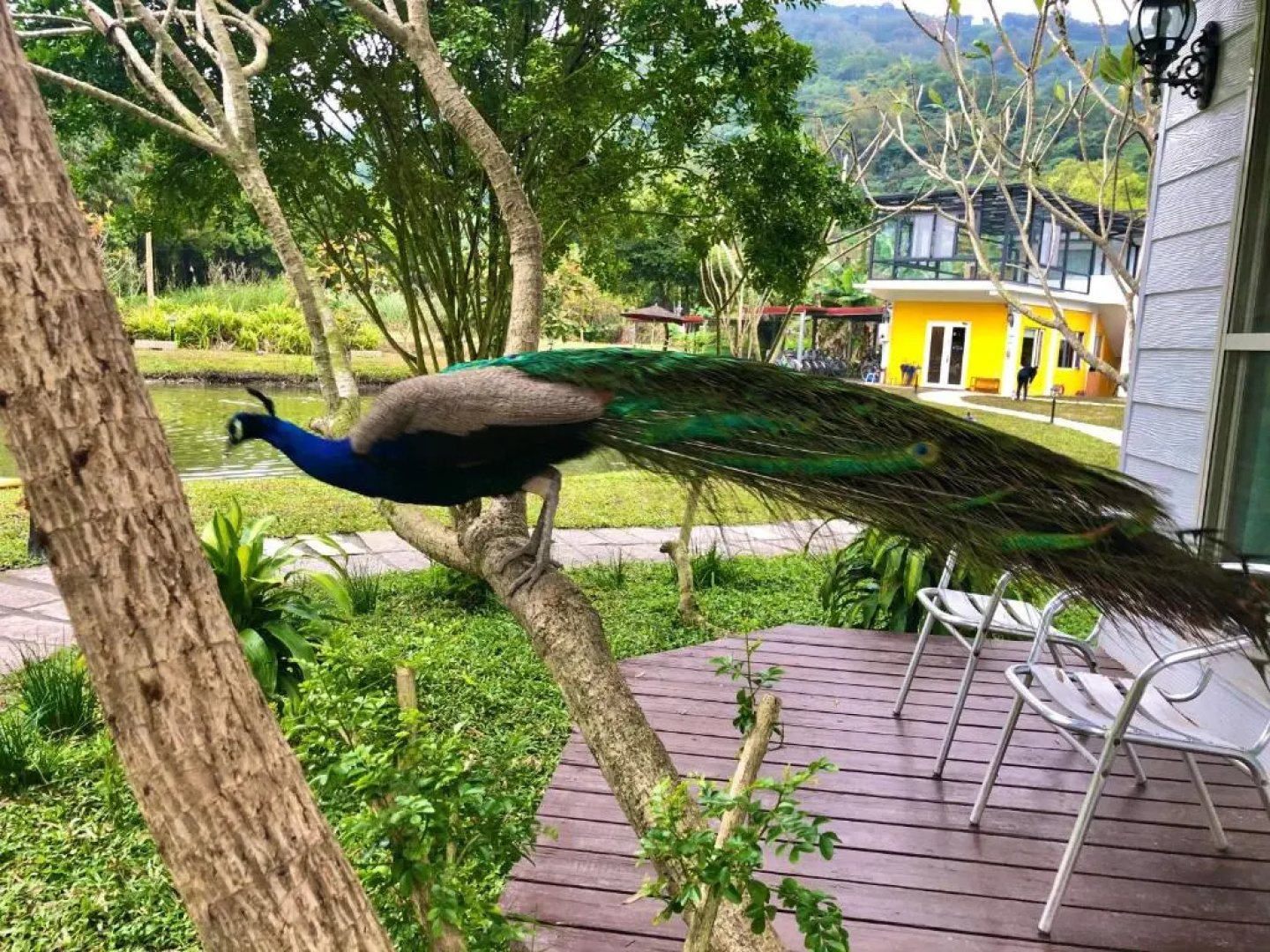 Tree Lake B&B