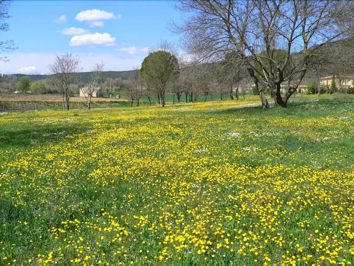 La Bastide du Capelier