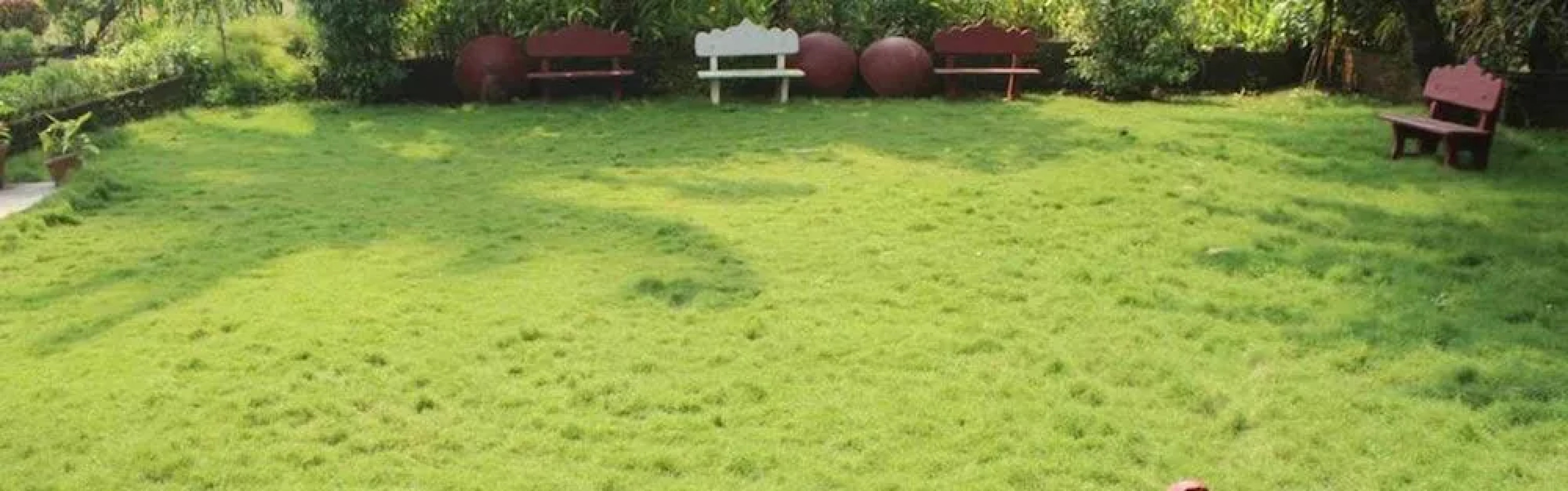 LSQ Luxuria (Nagaon)