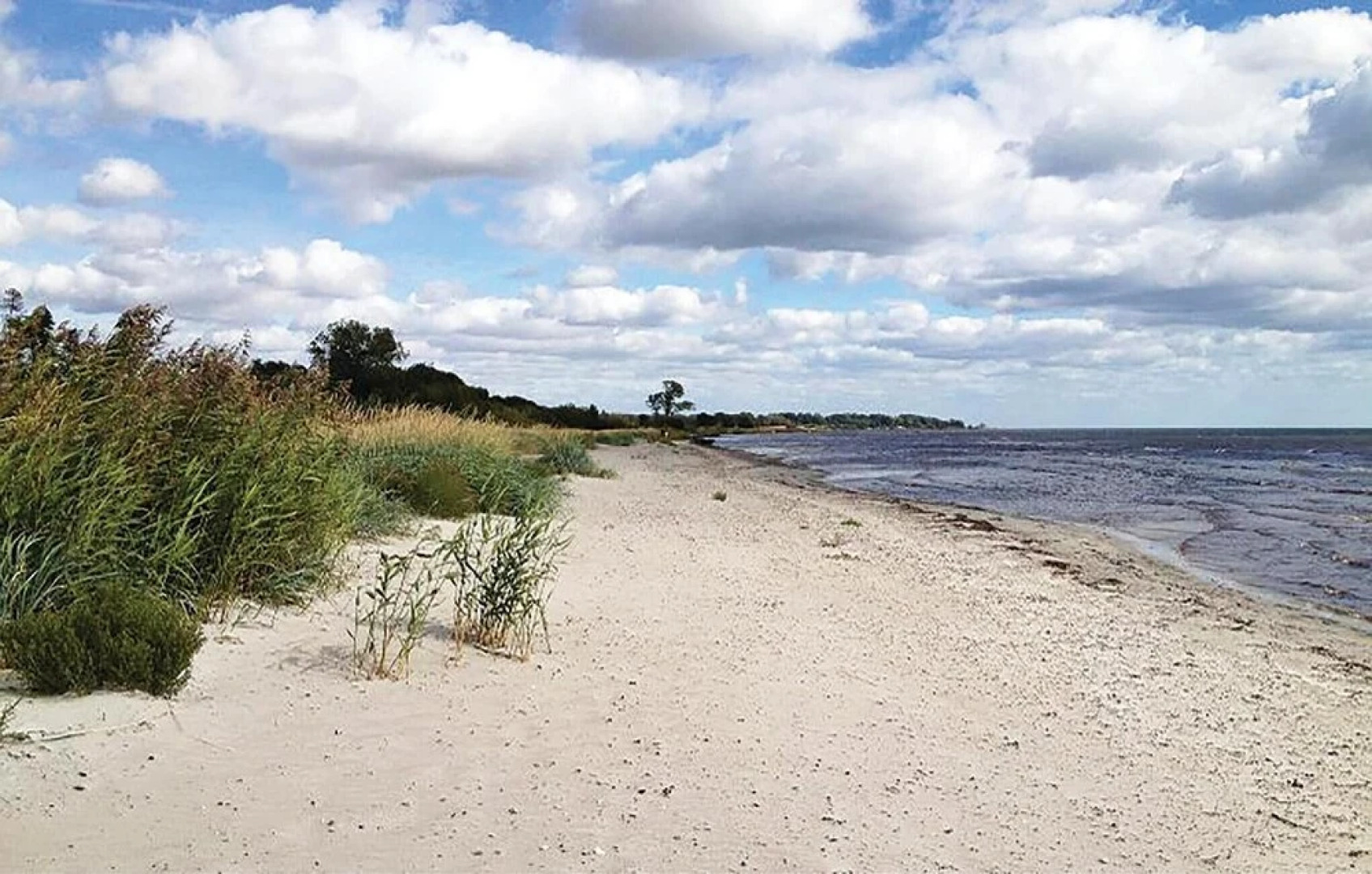 Awesome Home in Skivarp With 1 Bedrooms and Wifi