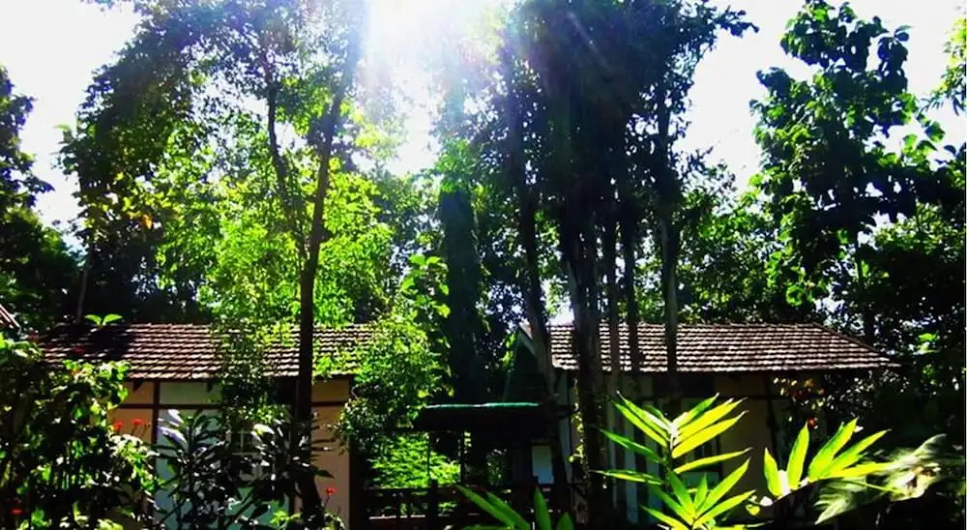 One at Nature Maerim