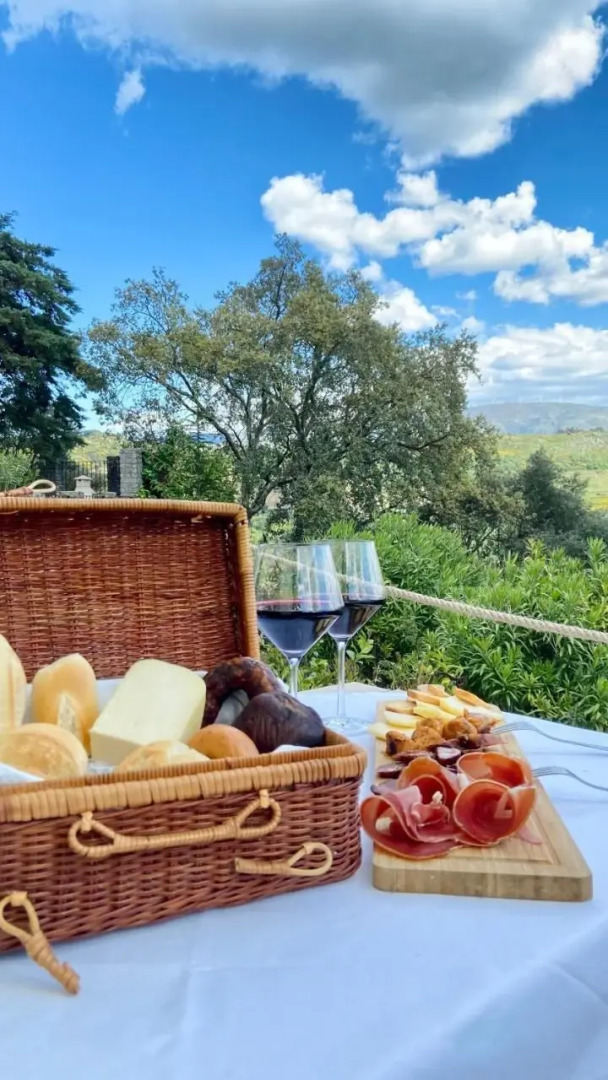 Private Douro- Quinta das Susandas