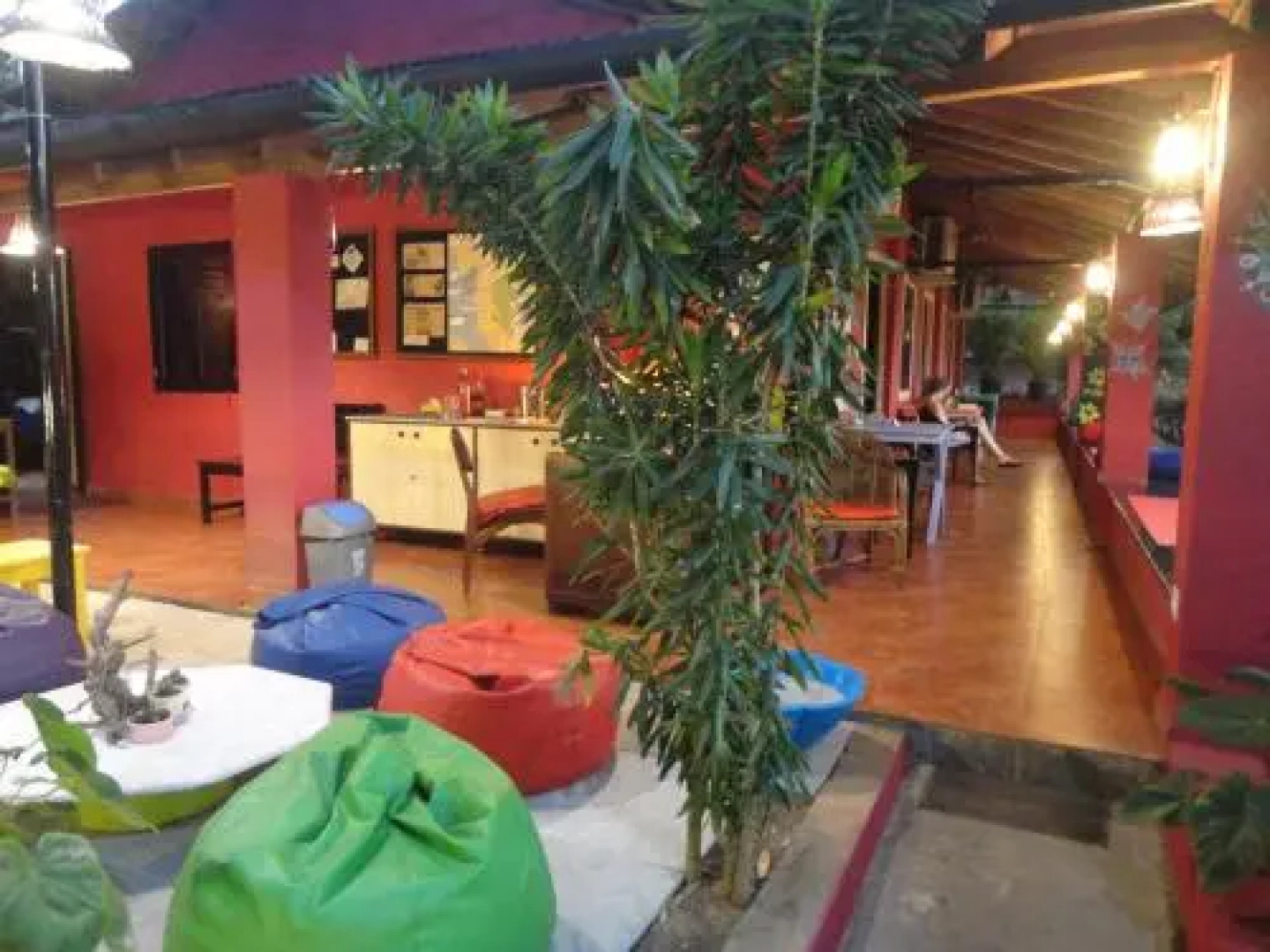 The Yuppi Hippi Female Hostel