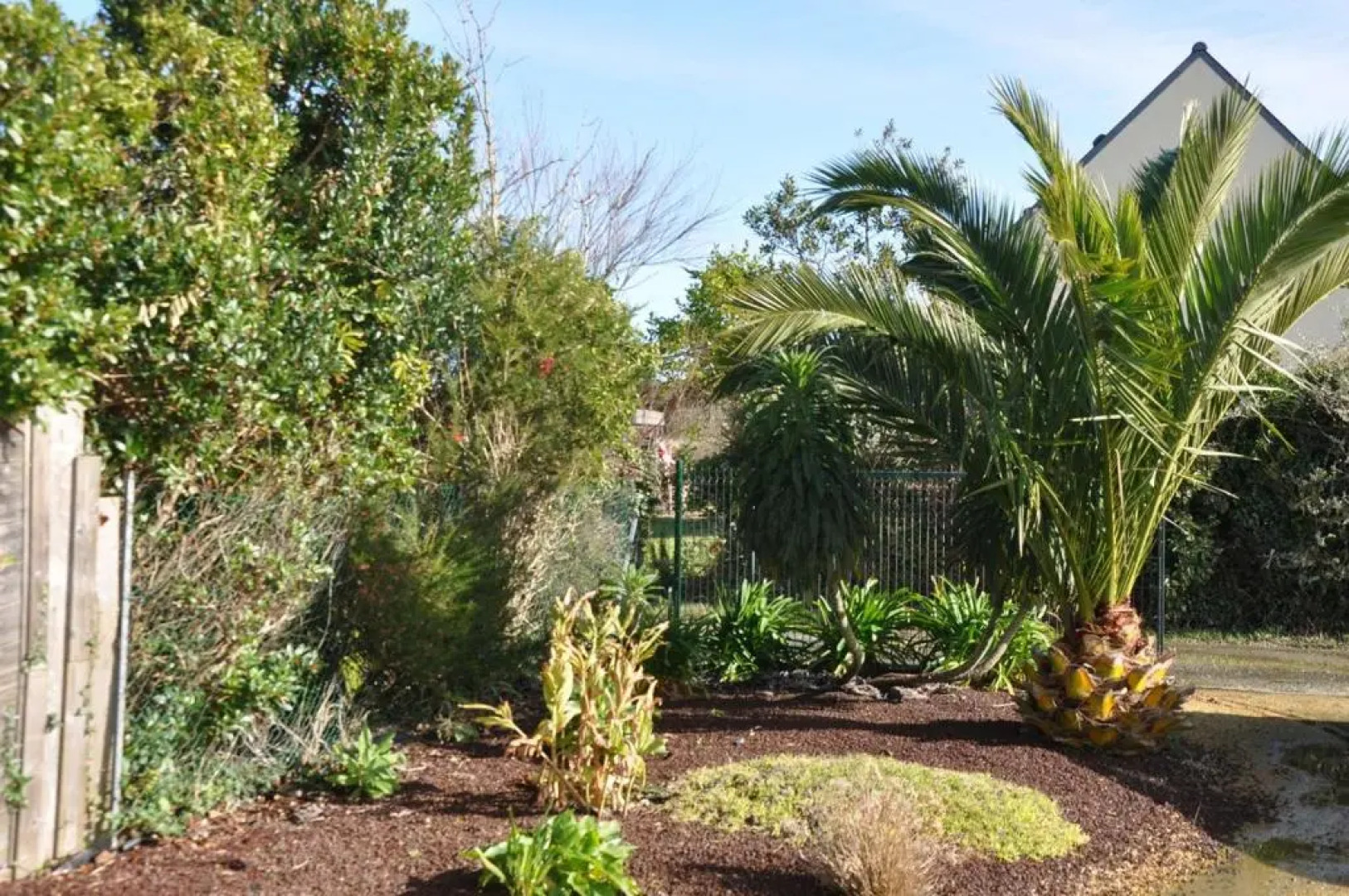 Maison à 200m de la plage avec jardin clos sur l'ILE GRANDE - Réf 283