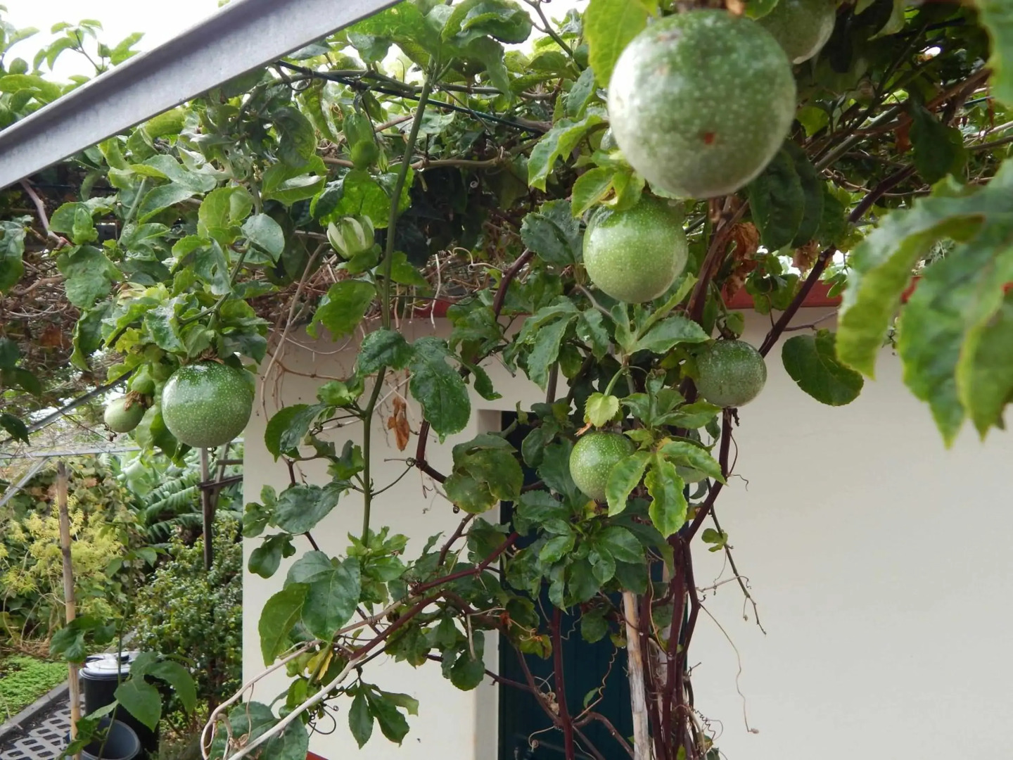 Villas Madalena Chalets vista mar cWiFi