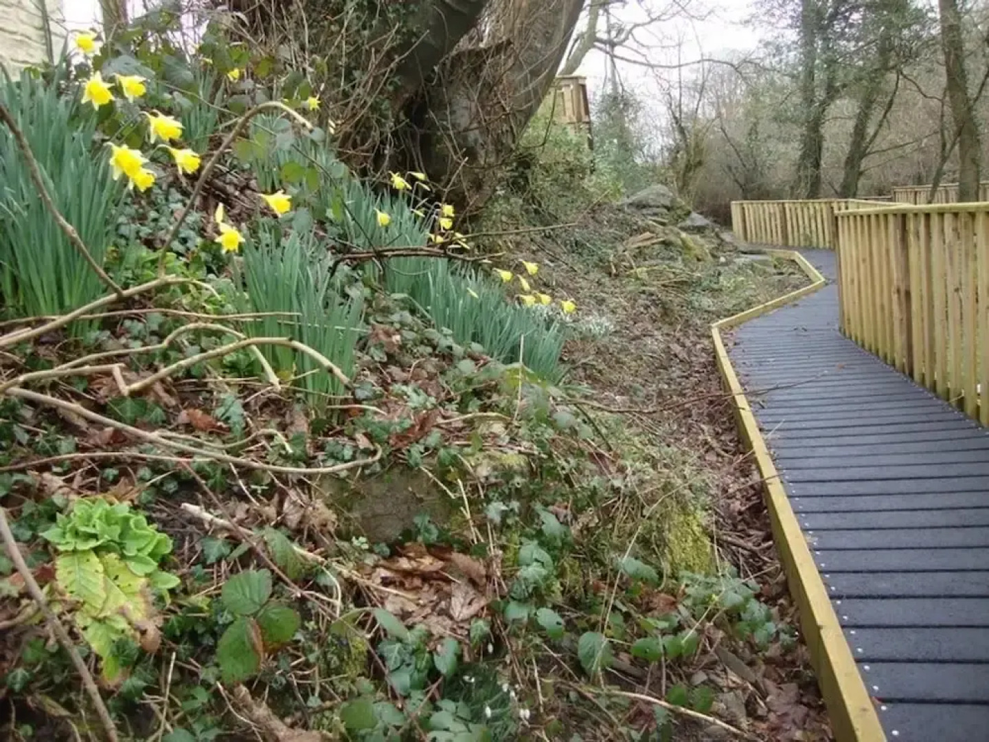 3 bed Detached Sound Healing Retreat Bungalow