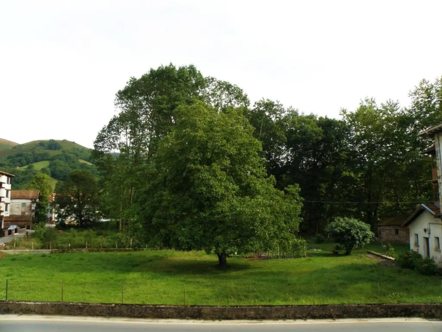 Apartamento Rural Elizondo