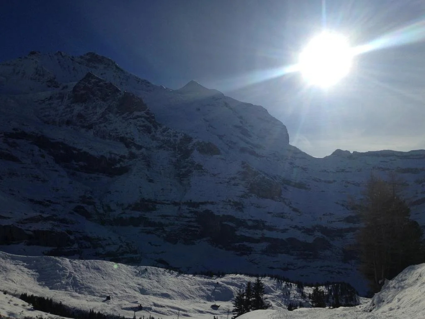 Chalet Aelpli Bed and Breakfast