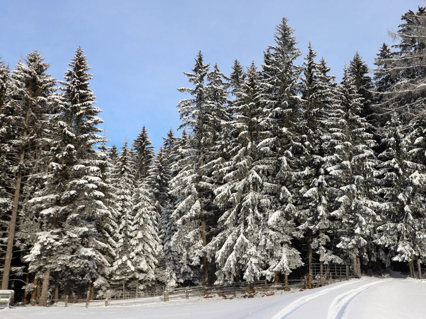 Holiday Home Schönhart