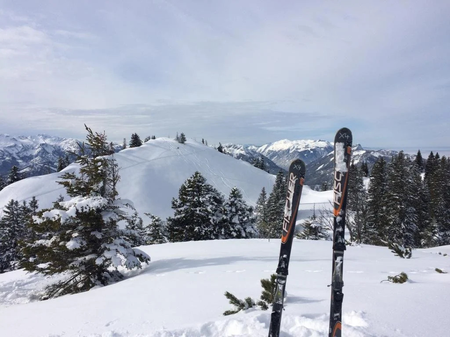 The Treehouse Backpacker Hotel