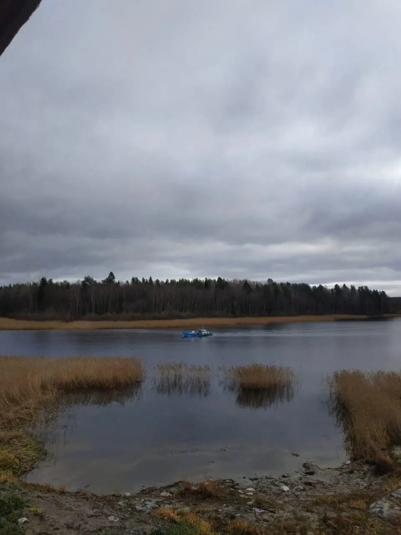 Частный дом Коттедж Тойворанта
