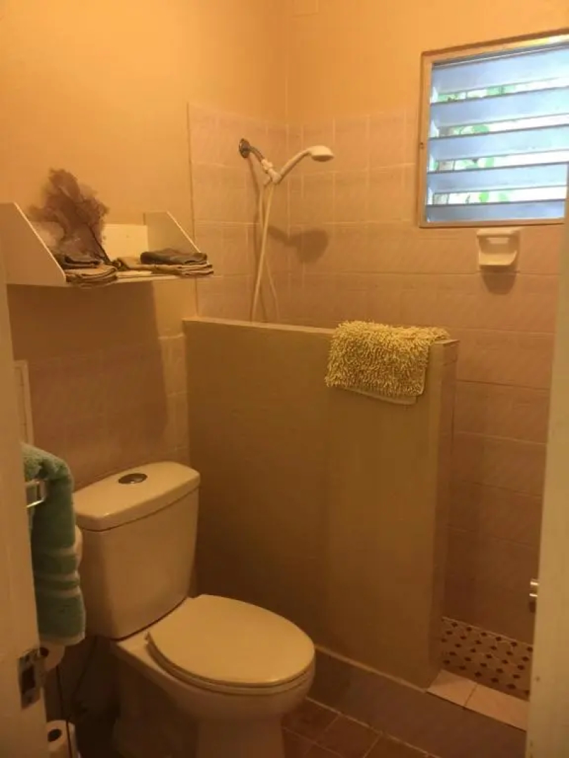 Palmetto Guesthouse