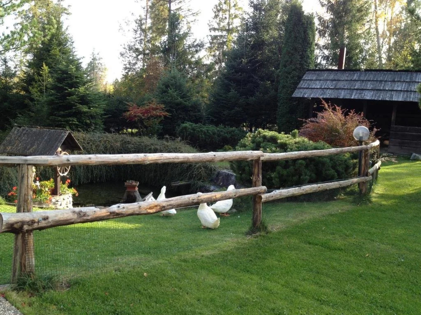 Отель Penzion Pazicky