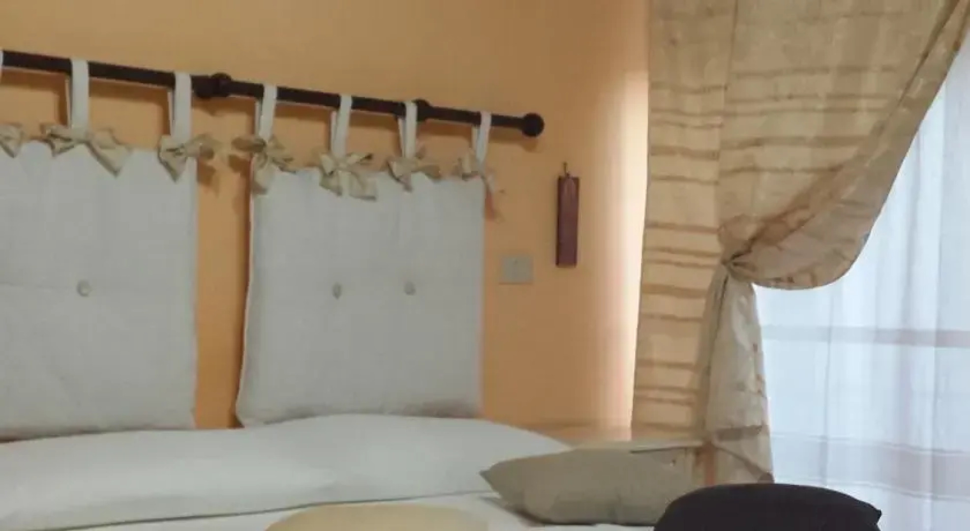 la terra degli ulivi