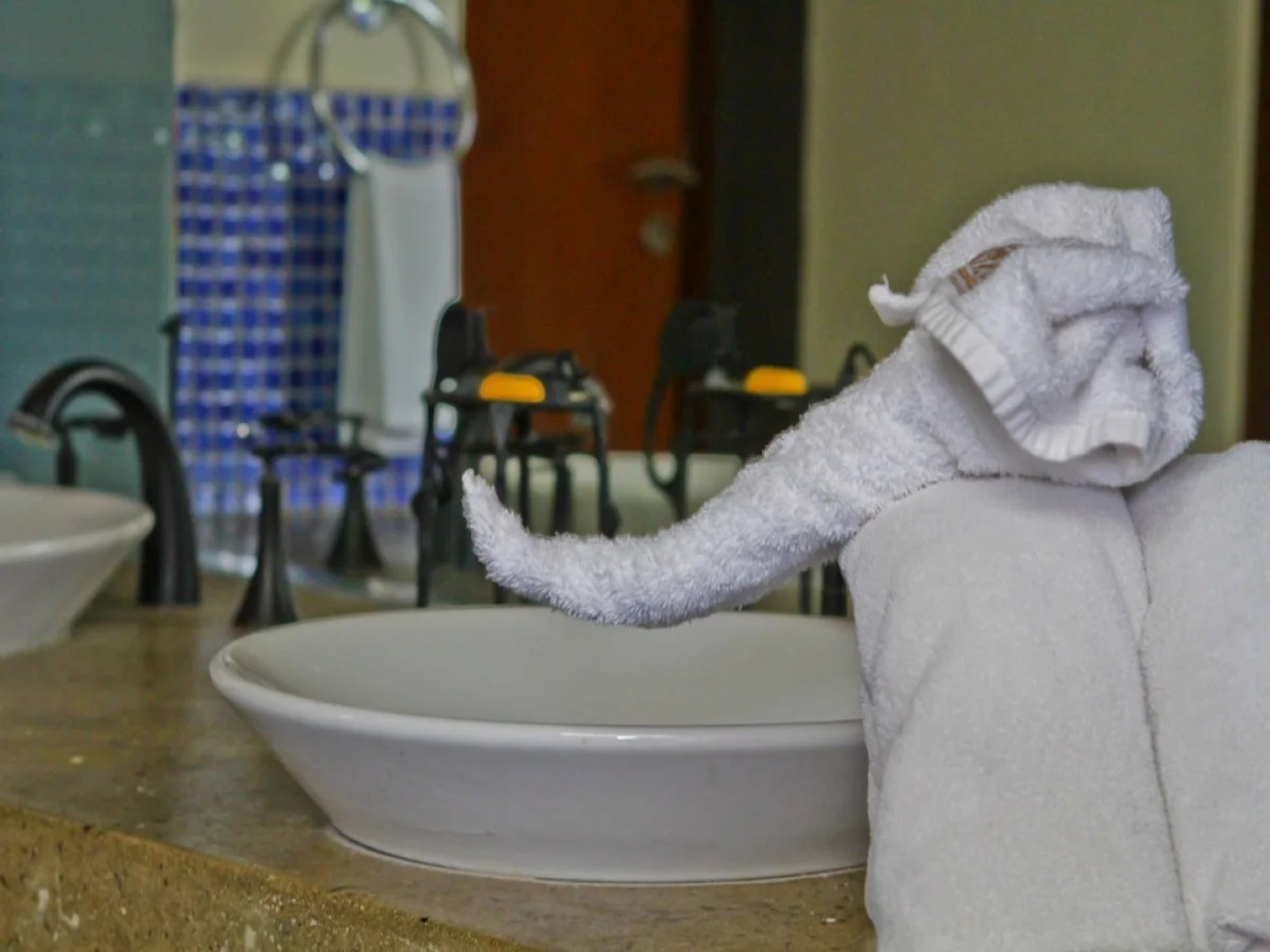 The Elephant Corridor Hotel