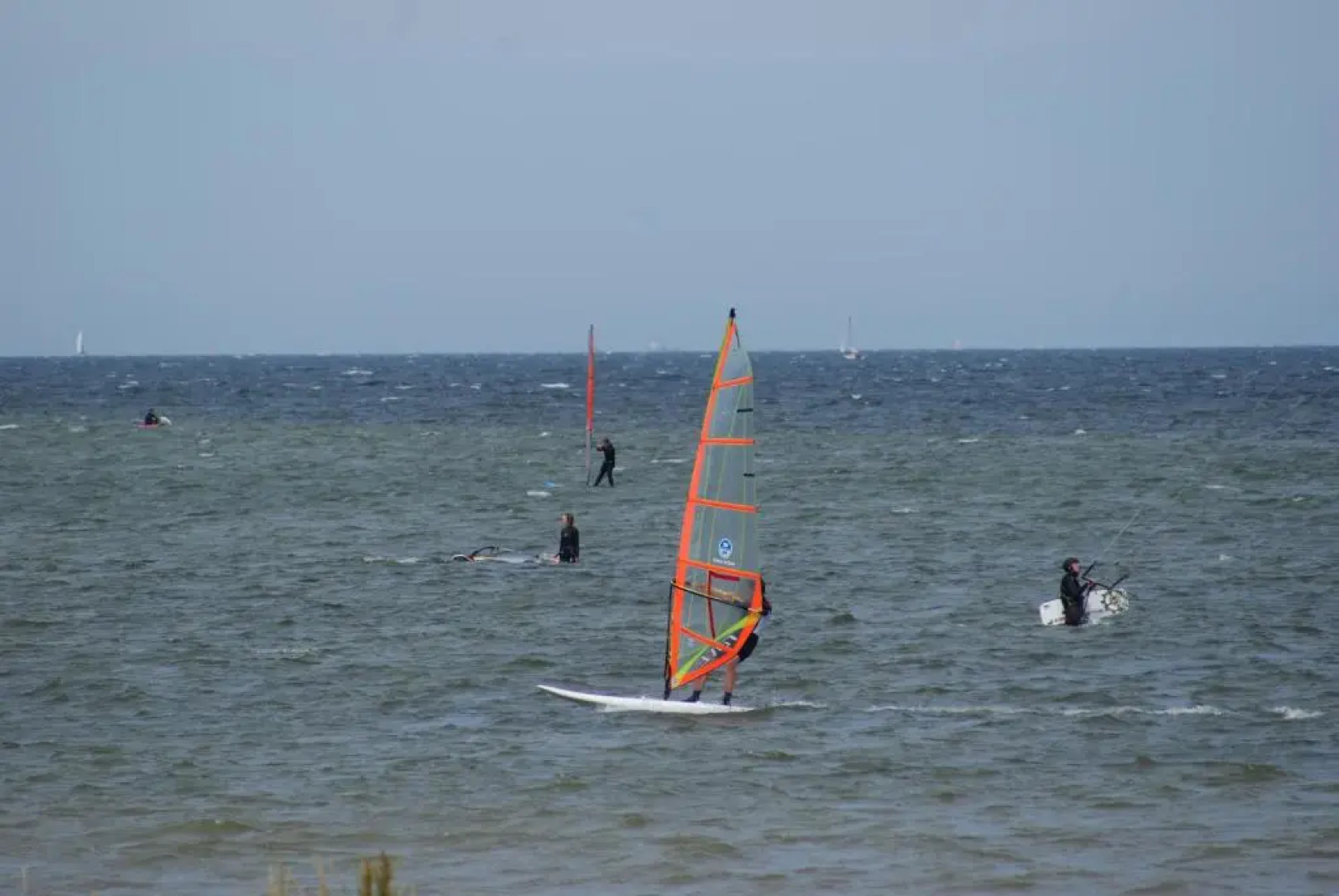 Möwe am Ostseestrand - ABC58