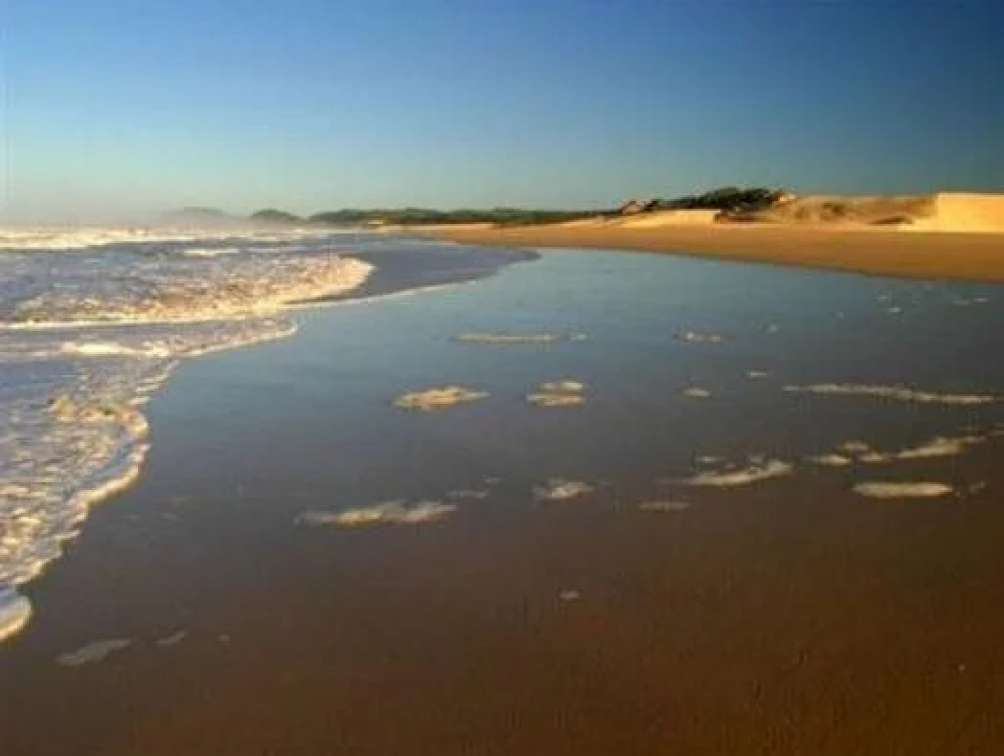 Oyster Bay Beach Lodge