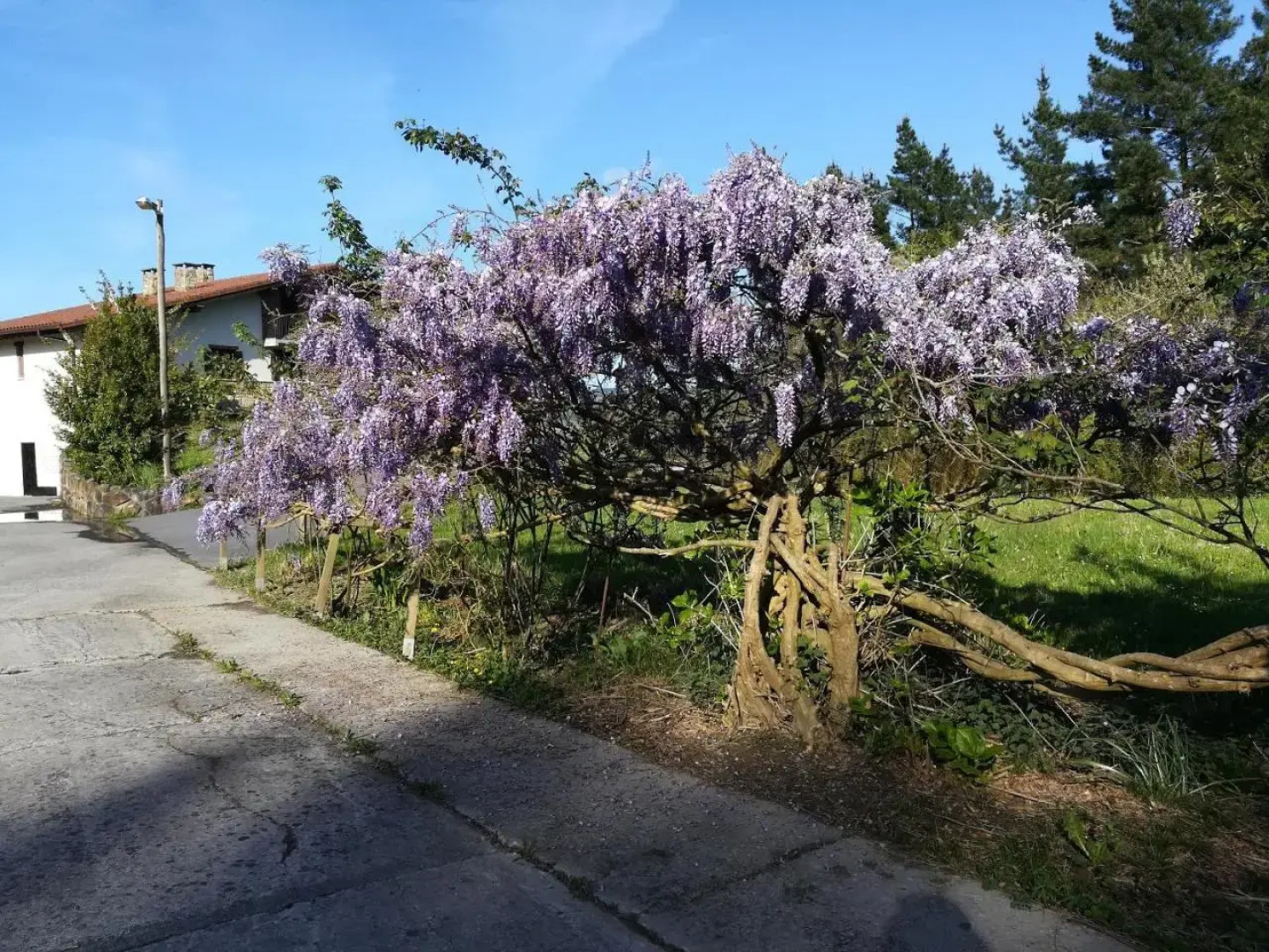 Agroturismo Miamendi