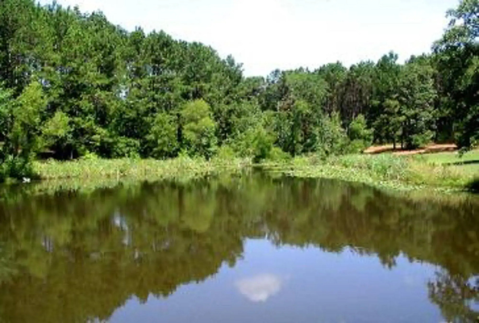 Pine Creek Country Inn