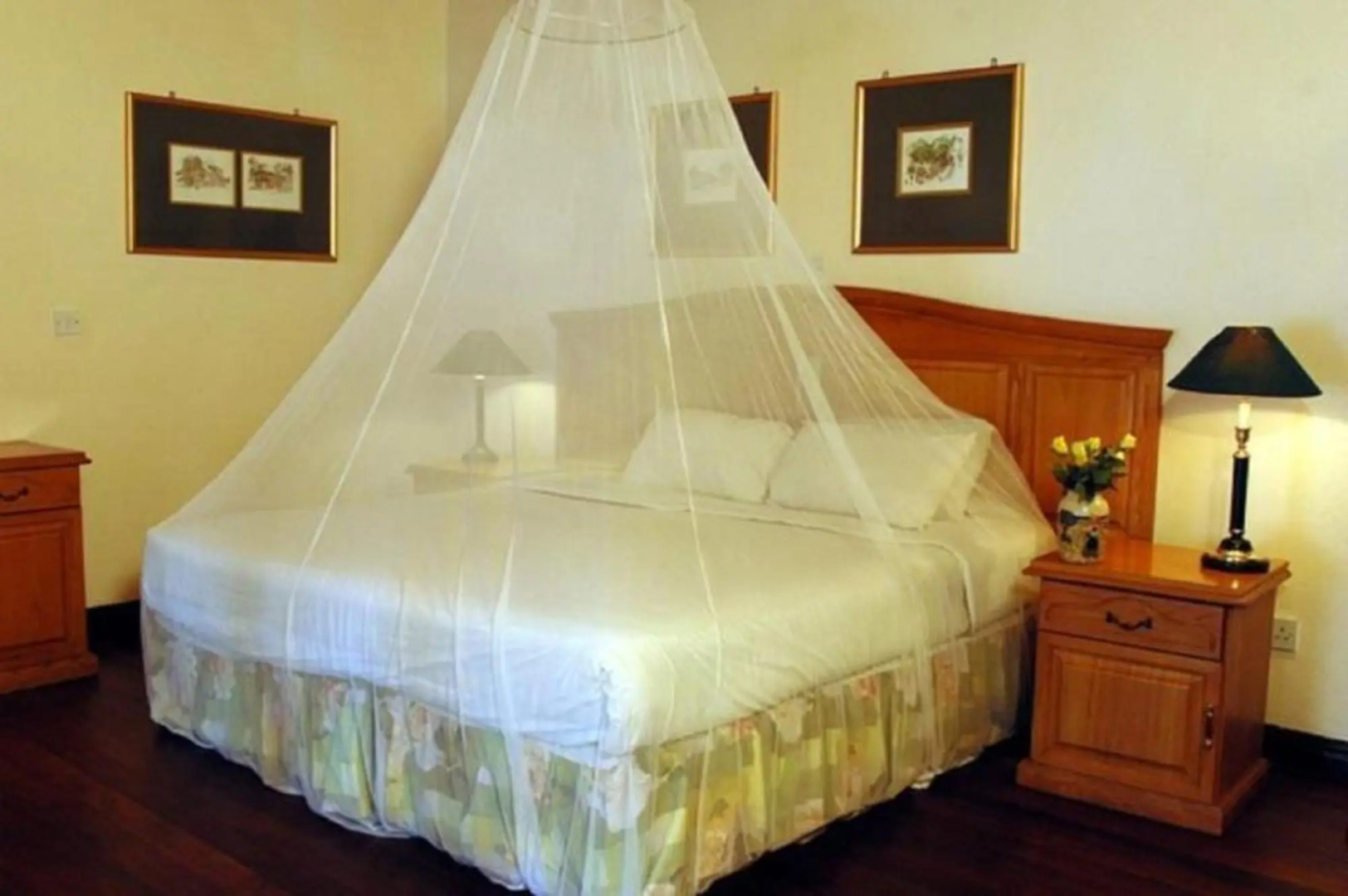 Sunbird Livingstonia Beach